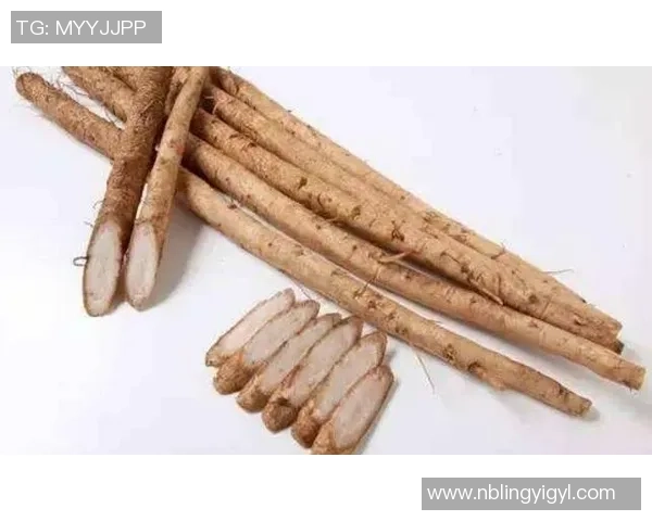 赛后分析：北京排球队与成都排球队在速度对抗中的表现与策略探讨